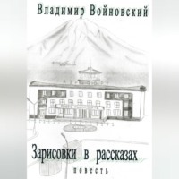 Владимир Войновский. Зарисовки в рассказах