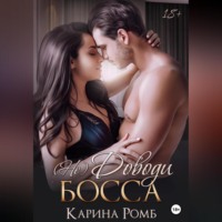 Карина Ромб. (Не)Доводи босса