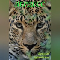 Ярослав Николаевич Зубковский. Лердесс