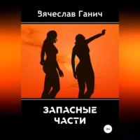 Вячеслав Ганич. Запасные части