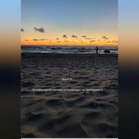 Илья Ч. Автобиографические записки уже не молодого Ч