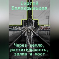 . Через землю, растительность, залив и мост