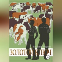 Владимир Старкин. Золотой ключ