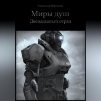 . Миры душ. Двенадцатый отряд