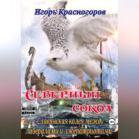 Игорь Валентинович Красногоров. Cеверный сокол. Славянская колея между либералами и лжепатриотами