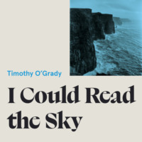 Timothy O'Grady. I Could Read the Sky (Unabridged)