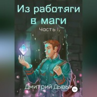 Дмитрий Дывык. Из работяги в маги. Часть 1