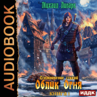 . Столкновение стихий. Книга 1. Облик Огня