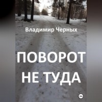 Владимир Романович Черных. Поворот не туда