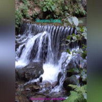 Никита Запорожец. Посольство Ямайки. Часть 1. Здравый фитнес