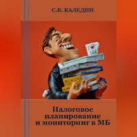 Сергей Каледин. Налоговое планирование и мониторинг в МБ