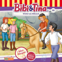 . Bibi & Tina, Folge 110: Wirbel um Mikosch