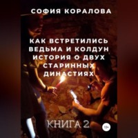 София Коралова. Как встретились ведьма и колдун. Книга 2