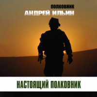 Андрей Александрович Ильин. Настоящий полковник