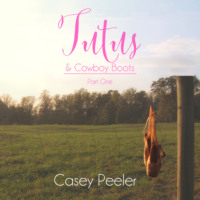Casey Peeler. Tutus & Cowboy Boots Series, Book 1: A Small Town Dance Romance