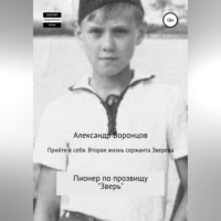 Александр Воронцов. Прийти в себя. Вторая жизнь сержанта Зверева