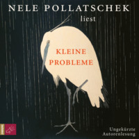 Nele Pollatschek. Kleine Probleme (Ungek?rzt)