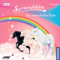 . Sternenfohlen, Teil 9: Ein zauberhaftes Team