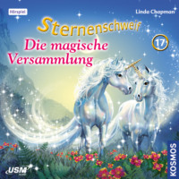 . Sternenschweif, Teil 17: Die magische Versammlung