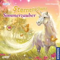 . Sternenschweif, Teil 18: Sommerzauber