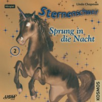. Sternenschweif, Teil 2: Sprung in die Nacht