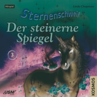 . Sternenschweif, Teil 3: Der Steinerne Spiegel