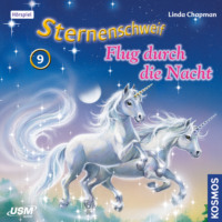 . Sternenschweif, Teil 9: Flug durch die Nacht