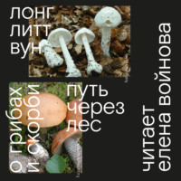 Лонг Литт Вун. Путь через лес. О грибах и скорби