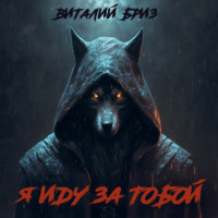Виталий Бриз. Я иду за тобой