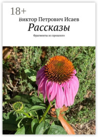 Рассказы. Фрагменты из прошлого