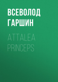 . Attalea princeps
