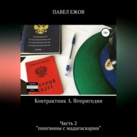 Павел Александрович Ежов. Контрактник А. Непригодин. Часть 2