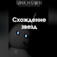 Дмитрий (WarnINg) Шевченко. Схождение звезд