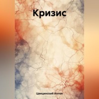 Антон Цвицинский. Кризис