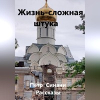 Петр Синани. Жизнь – сложная штука