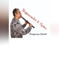 Владимир Геннадьевич Шехов. Творчество в Пути