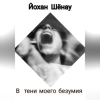 Йохан Шёнау. В тени моего безумия