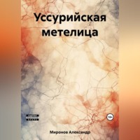 Александр Леонидович Миронов. Уссурийская метелица