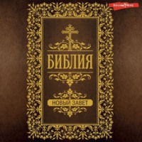 . Библия. Новый завет (Евангелия)