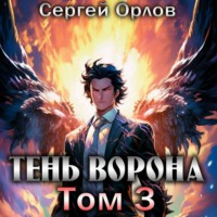 . Тень Ворона – 3