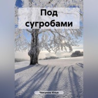 Илья Владимирович Чекунов. Под сугробами
