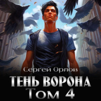 . Тень Ворона – 4