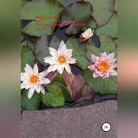 . Женские страшилки и заморочки