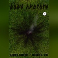 Давид Thunder_k1d Акопов. Зовы пустоты