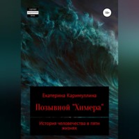 Екатерина Алексеевна Каримуллина. Позывной «Химера»