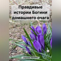 Татьяна Глухова. Правдивые истории Богини домашнего очага
