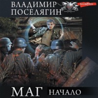 Владимир Поселягин. Маг: Начало