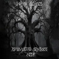 . Проклятие кривого леса