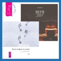 . Веря в невозможное перед завтраком. Звук тишины, алмаз в лотосе + Когда туфли не жмут. Беседы по историям даосского мистика Чжуан-цзы