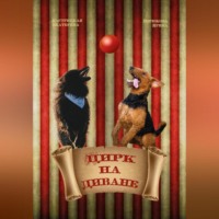 Екатерина Кастрицкая. Цирк на диване